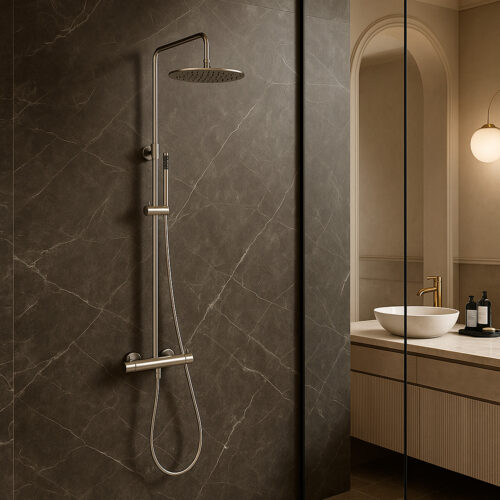 Douche murale en inox satine 316L entree eau chaudefroide double melangeur