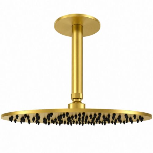 Kit bras de pommeau de douche plafond 30 cm or acier inox 316L