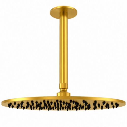 Kit bras de pommeau de douche plafond 30 cm or acier inox 316L