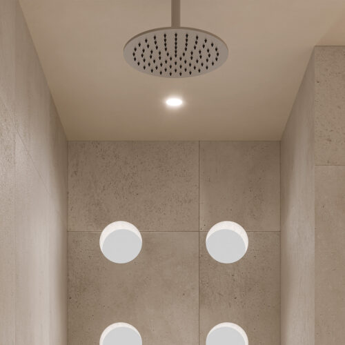 Pomme de douche ronde en acier inoxydable 316L poli Ø25 cm resistant a la corrosion